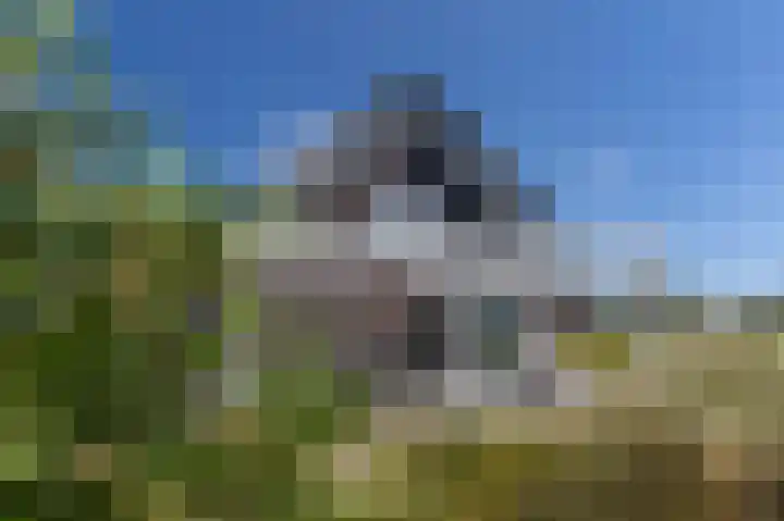 de Duinen 220 Ouddorp thumbnail 33