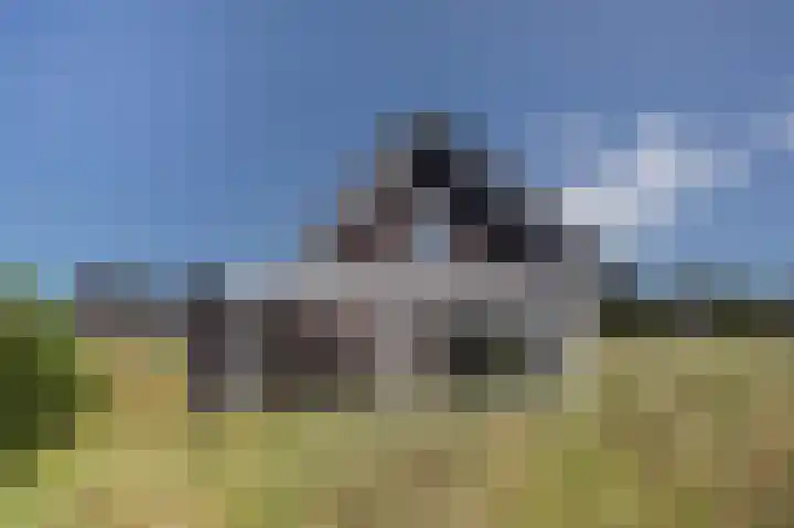 de Duinen 220 Ouddorp thumbnail 40