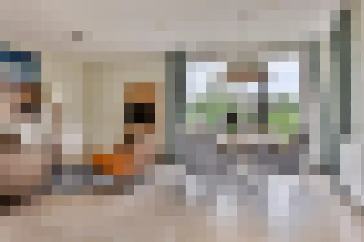 de Duinen 229 Ouddorp thumbnail 5