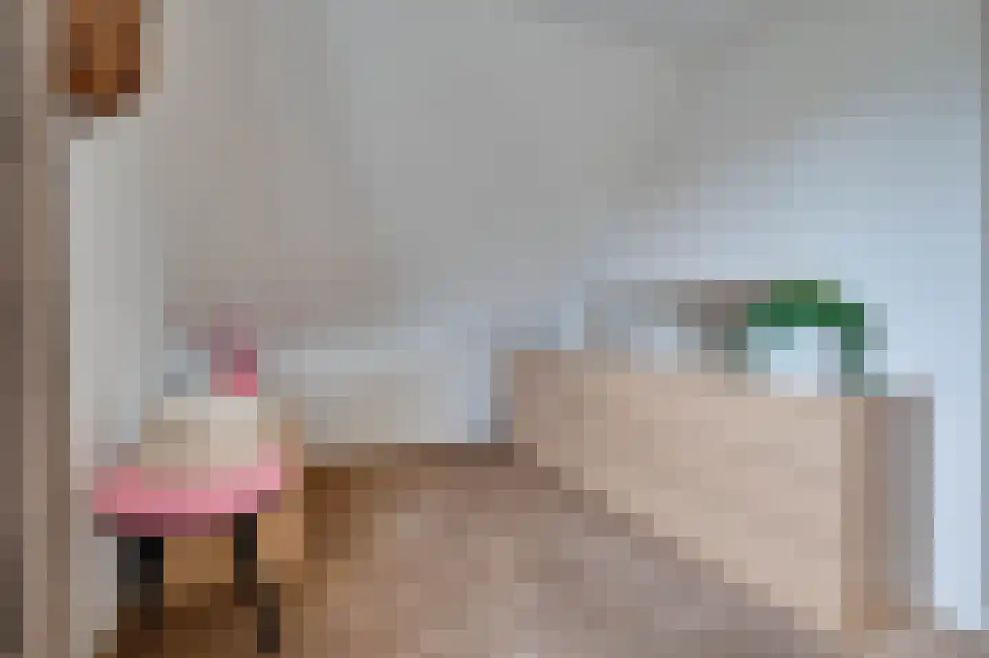 de Duinen 235 Ouddorp thumbnail 25
