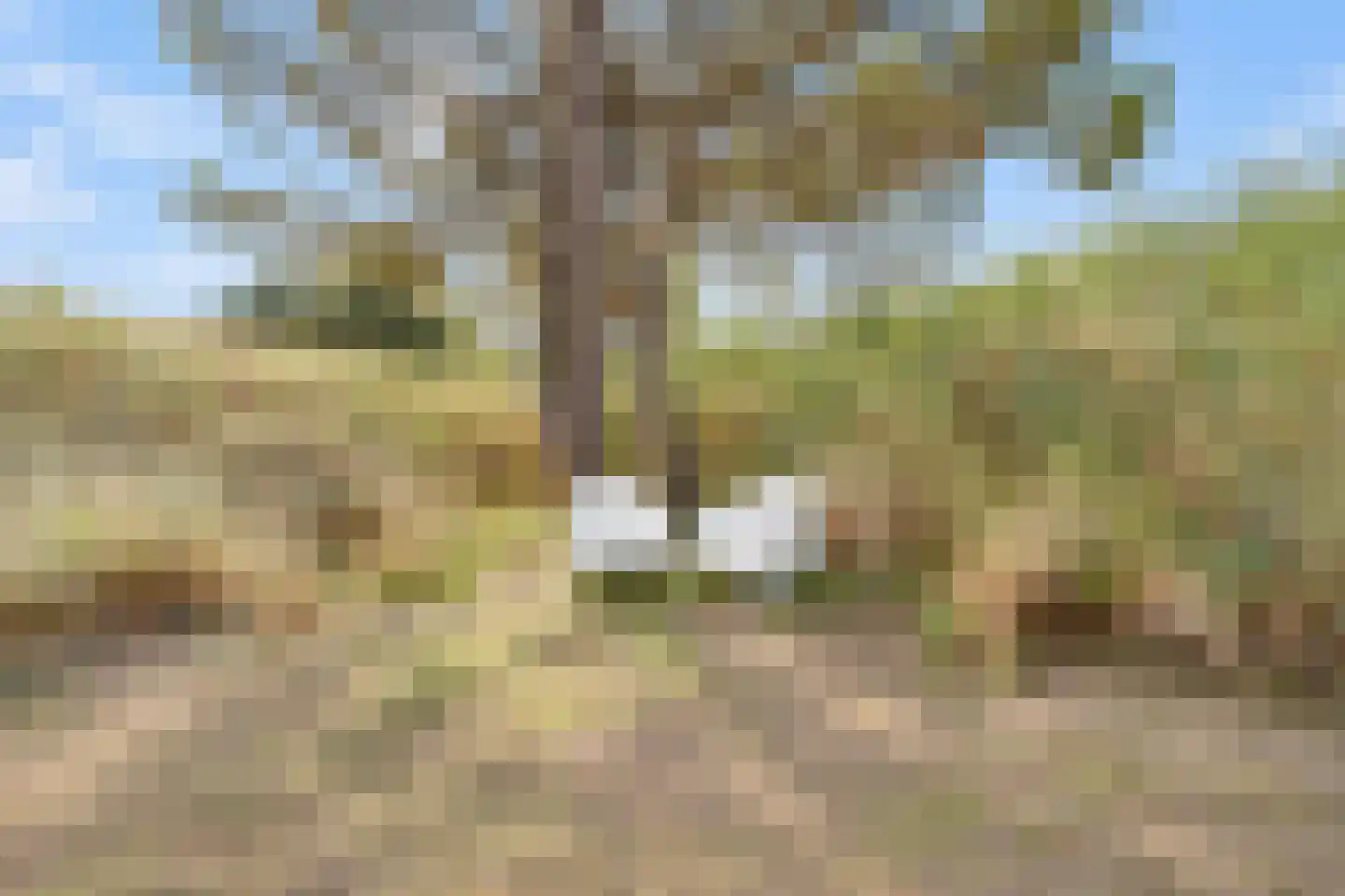 de Duinen 235 Ouddorp thumbnail 35