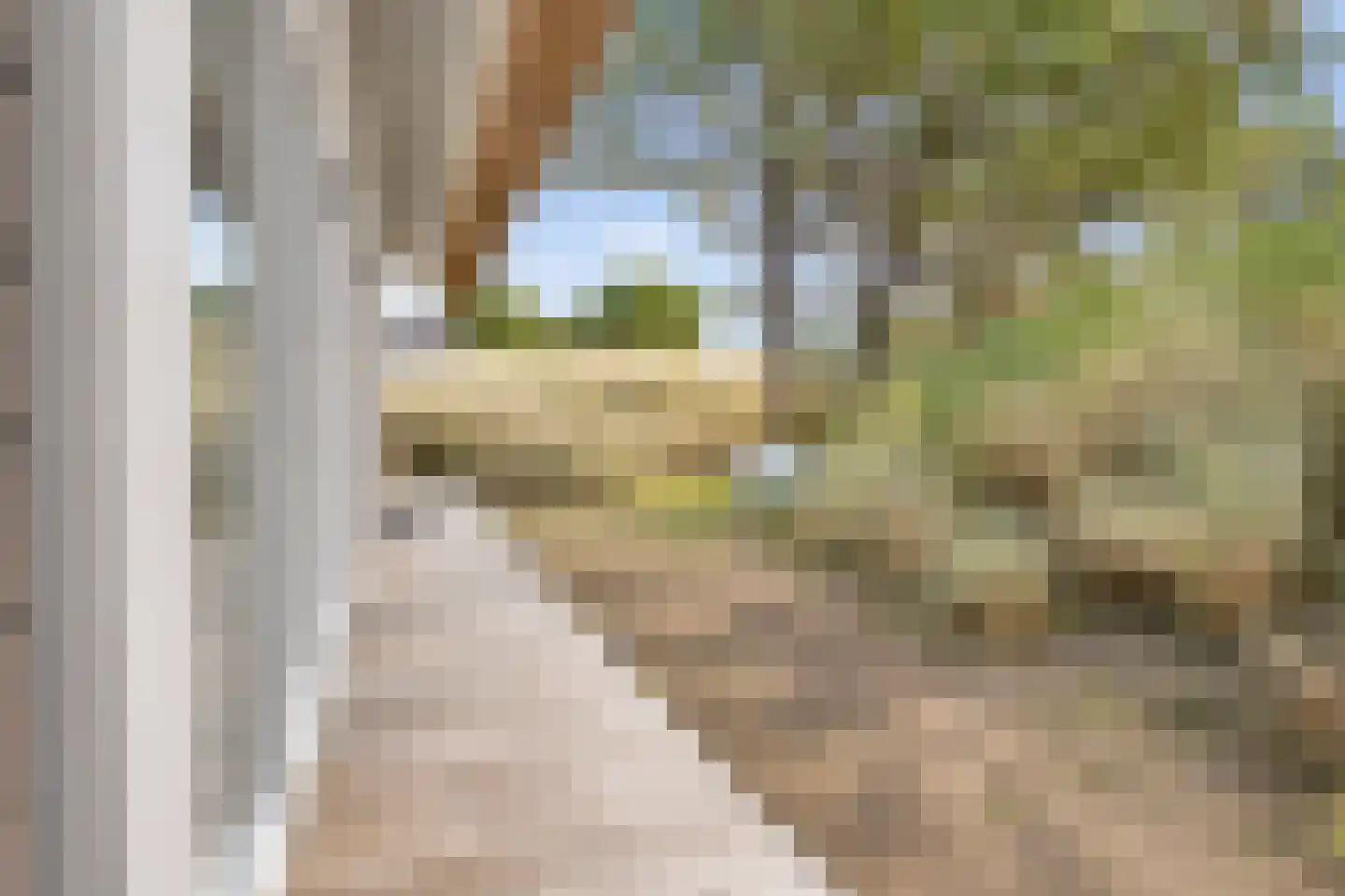 de Duinen 235 Ouddorp thumbnail 36