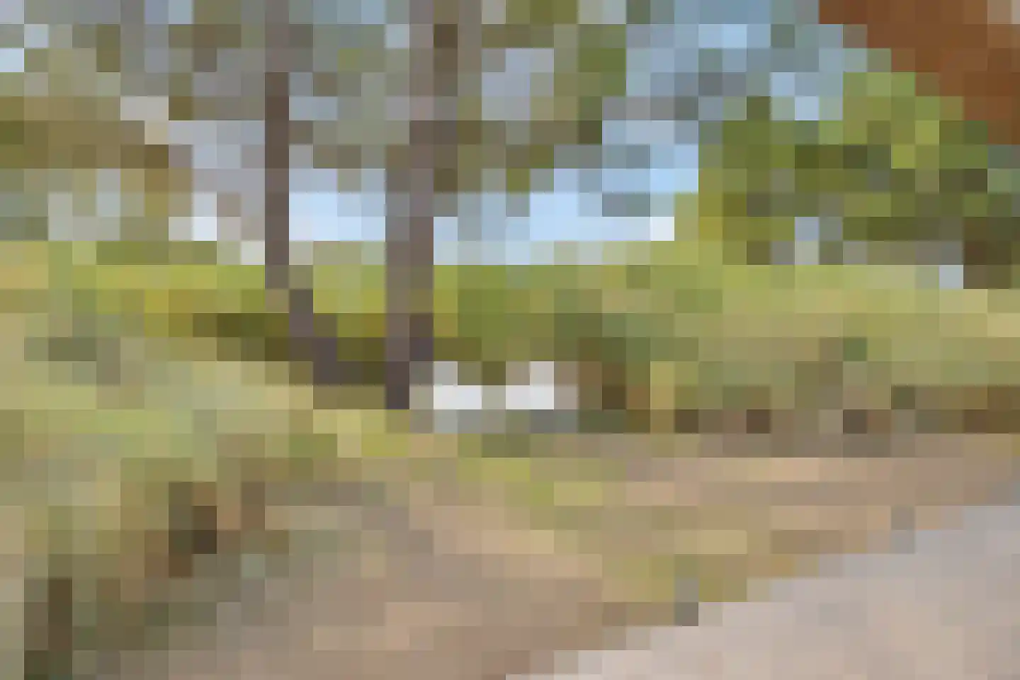de Duinen 235 Ouddorp thumbnail 37