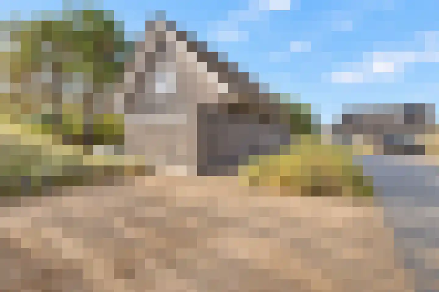 de Duinen 235 Ouddorp thumbnail 40
