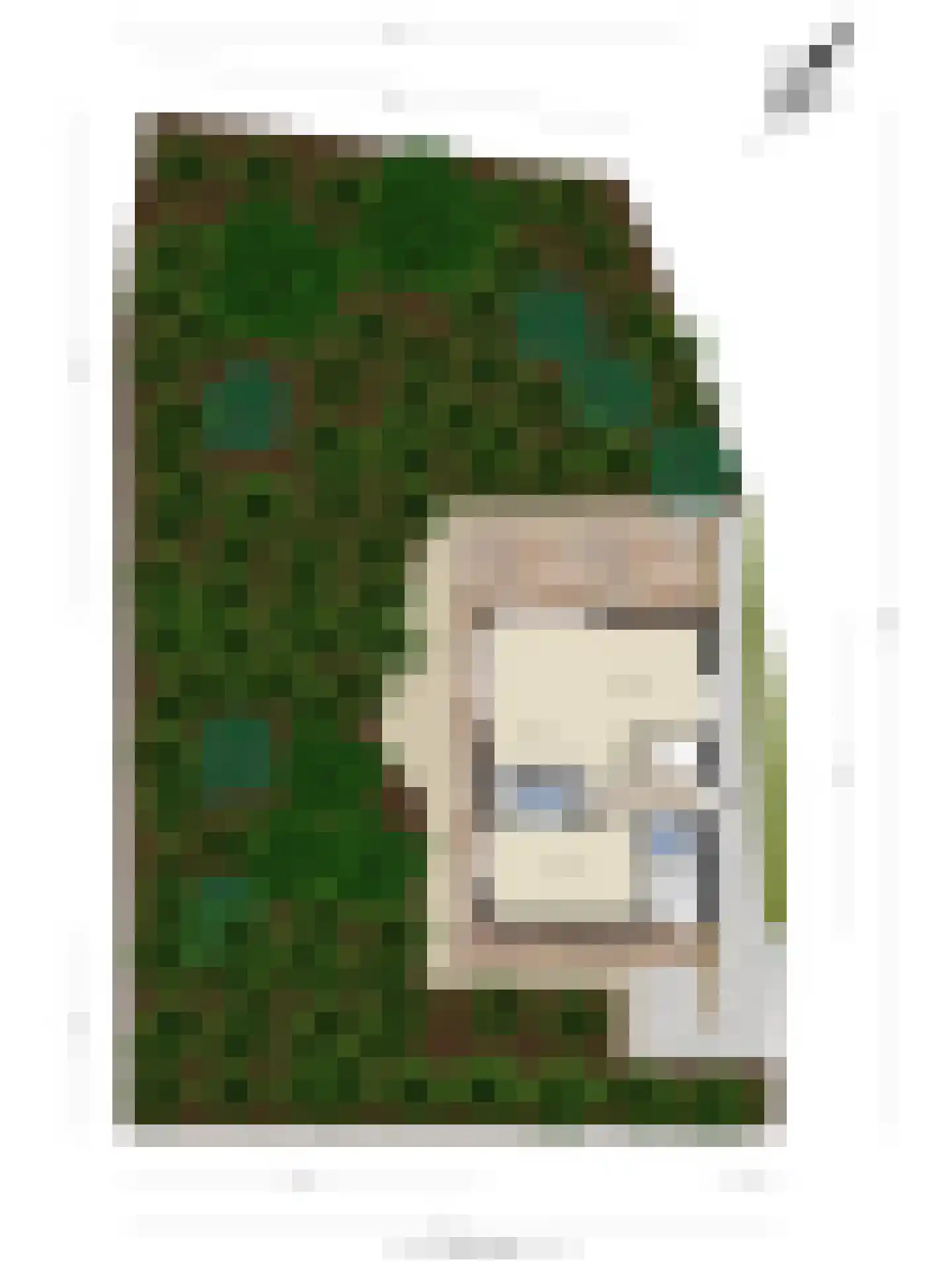 de Duinen 235 Ouddorp thumbnail 43
