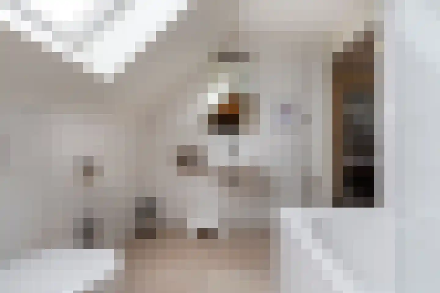 de Duinen 241 Ouddorp thumbnail 29