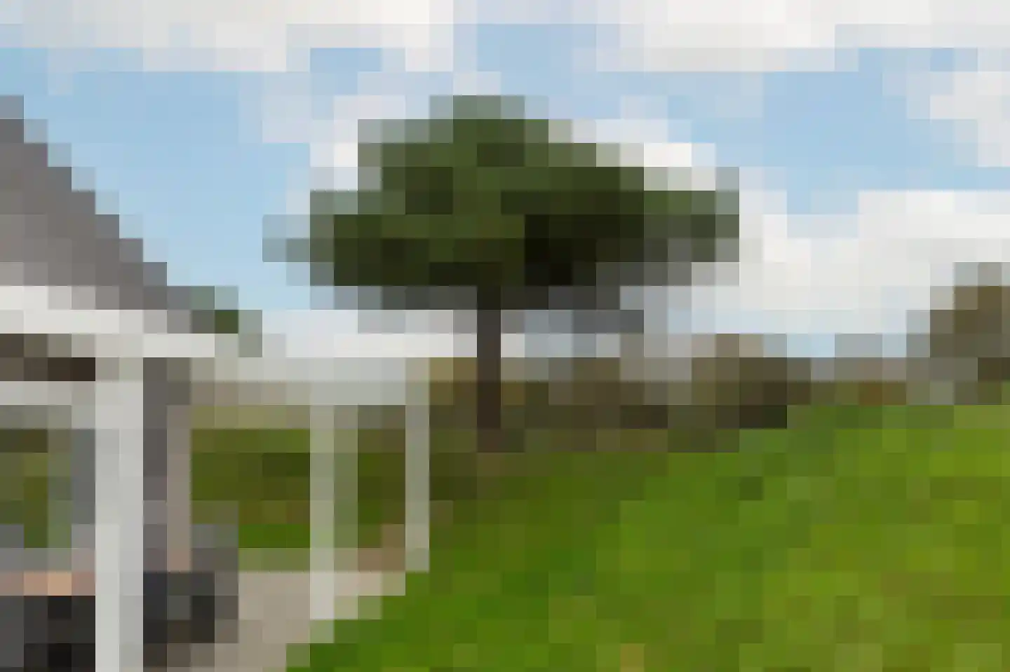 de Duinen 241 Ouddorp thumbnail 32