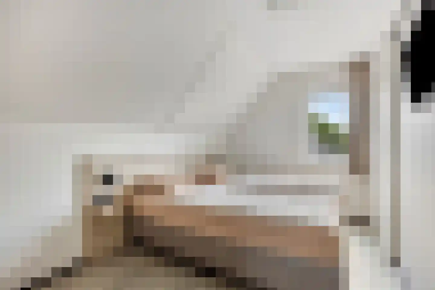 de Duinen 243 Ouddorp thumbnail 17