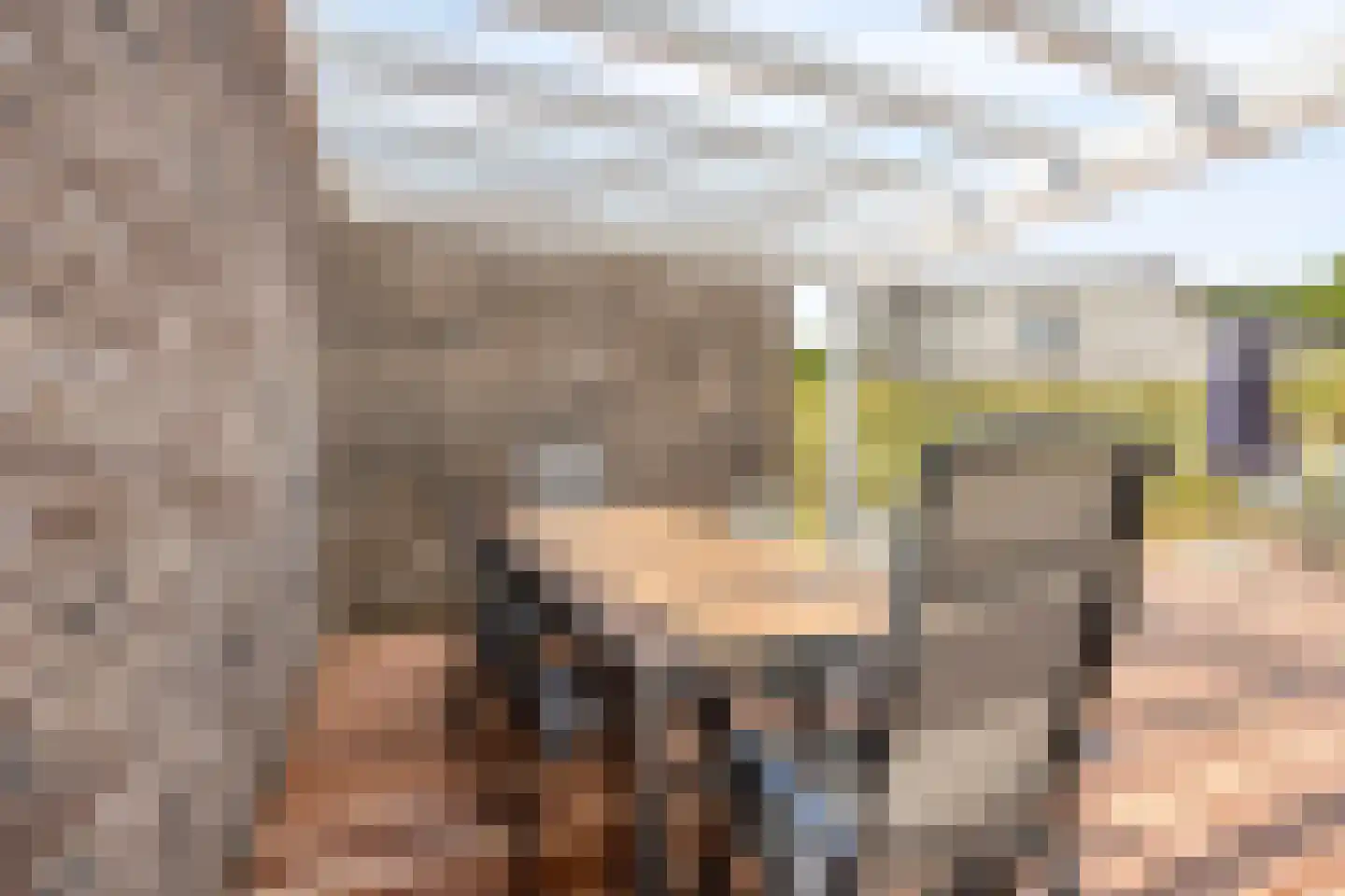 de Duinen 243 Ouddorp thumbnail 27