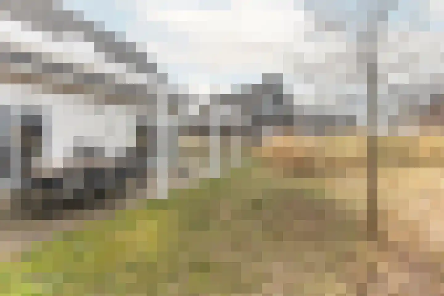 de Duinen 307 Ouddorp thumbnail 34
