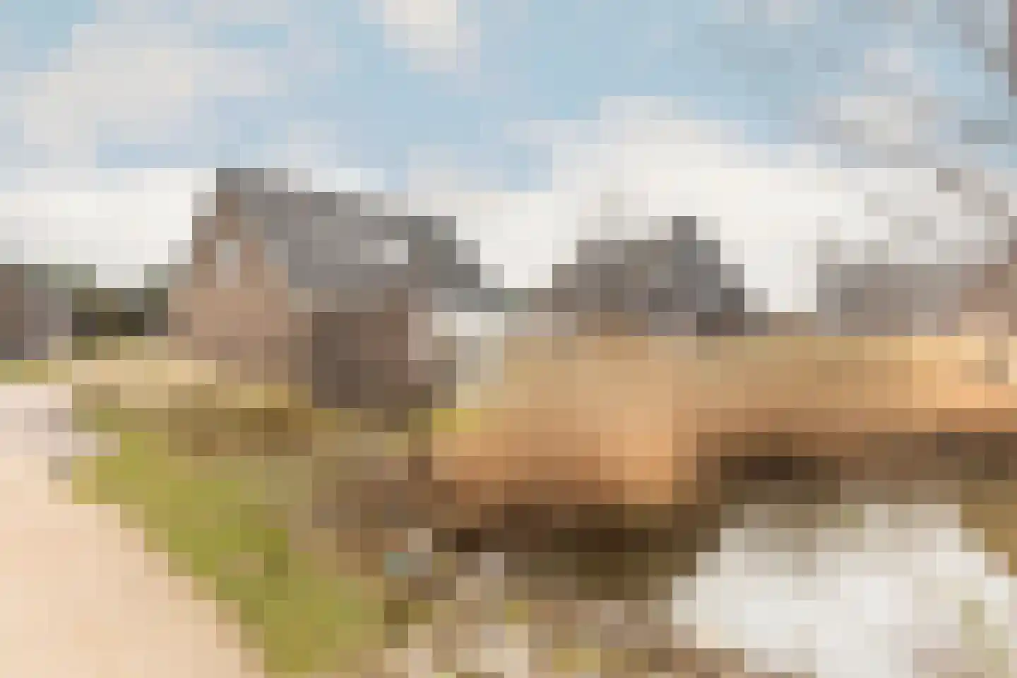 de Duinen 307 Ouddorp thumbnail 4