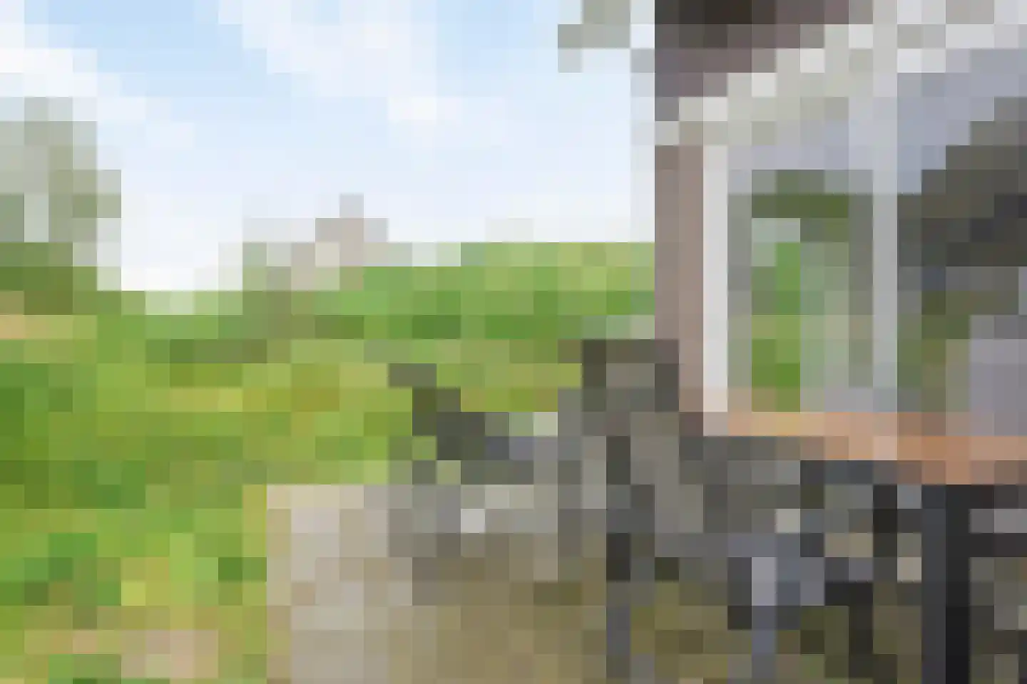 de Duinen 322 Ouddorp thumbnail 20