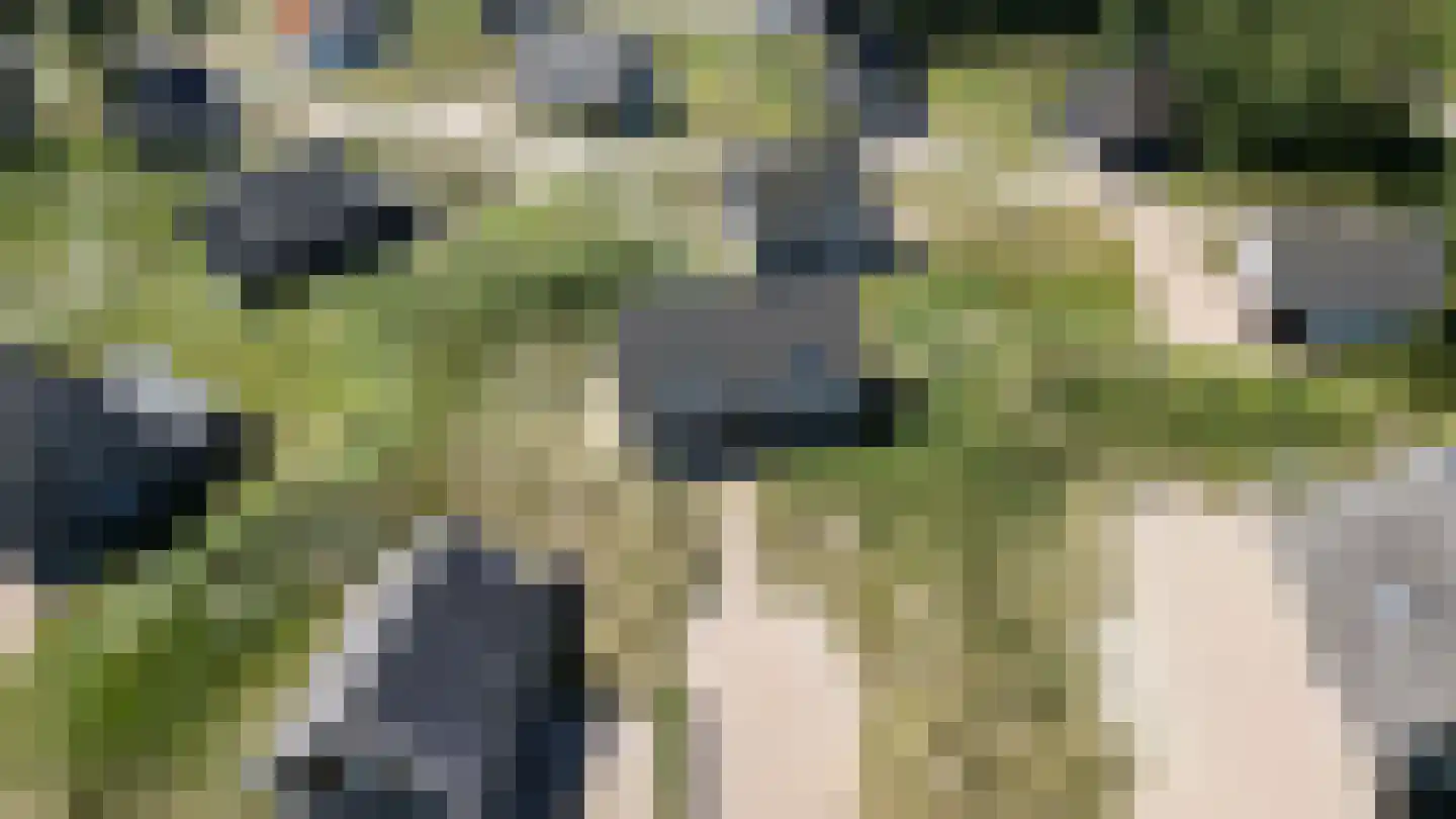 de Duinen 322 Ouddorp thumbnail 22