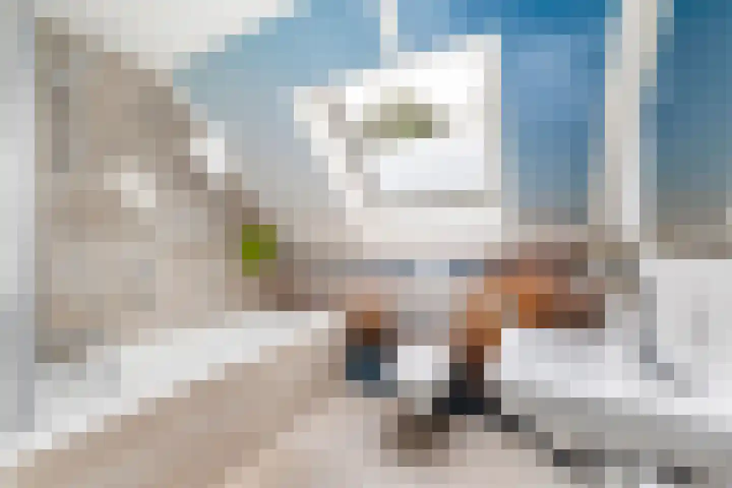 de Duinen 347 Ouddorp thumbnail 25