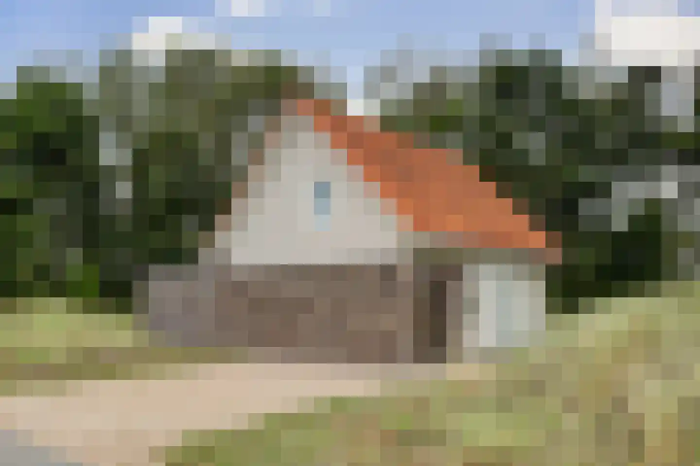 de Duinen 363 Ouddorp thumbnail 39