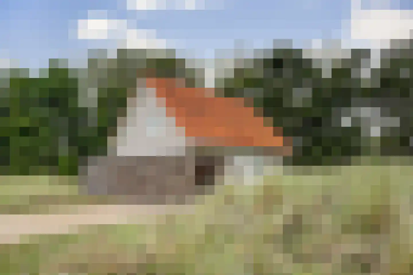 de Duinen 363 Ouddorp thumbnail 40