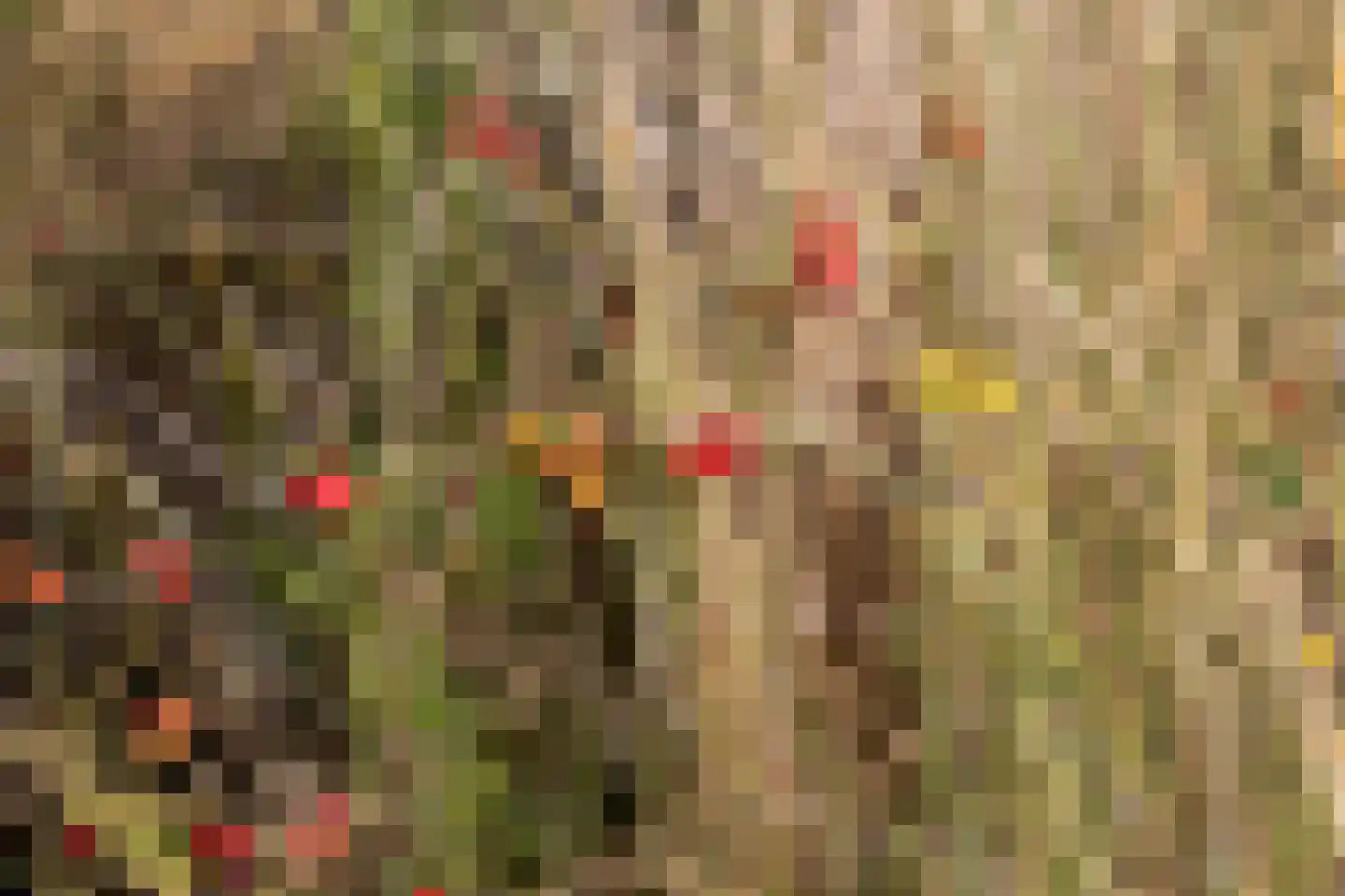 de Duinen 413 Ouddorp thumbnail 37