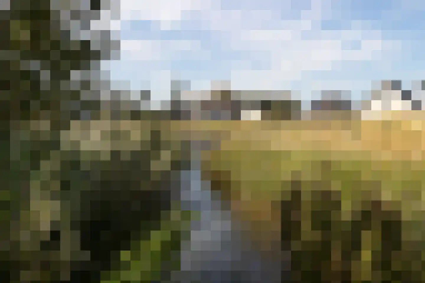 de Duinen 413 Ouddorp thumbnail 38