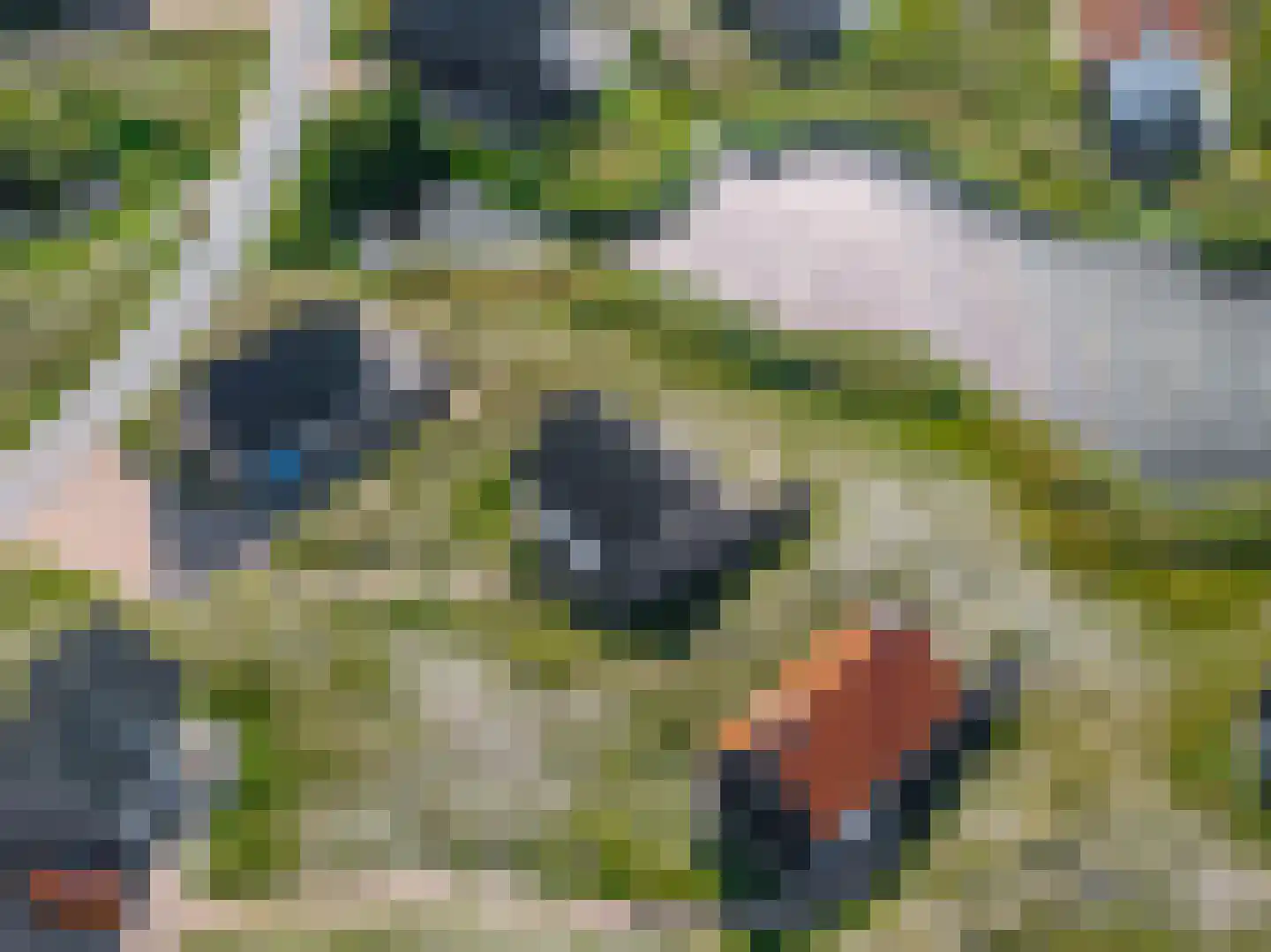 de Duinen 414 Ouddorp thumbnail 29