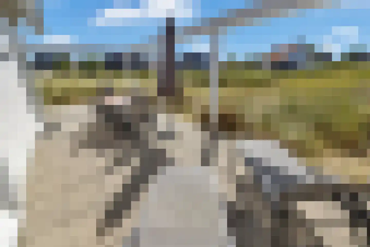 de Duinen 414 Ouddorp thumbnail 34