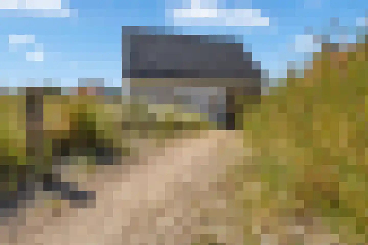 de Duinen 414 Ouddorp thumbnail 36