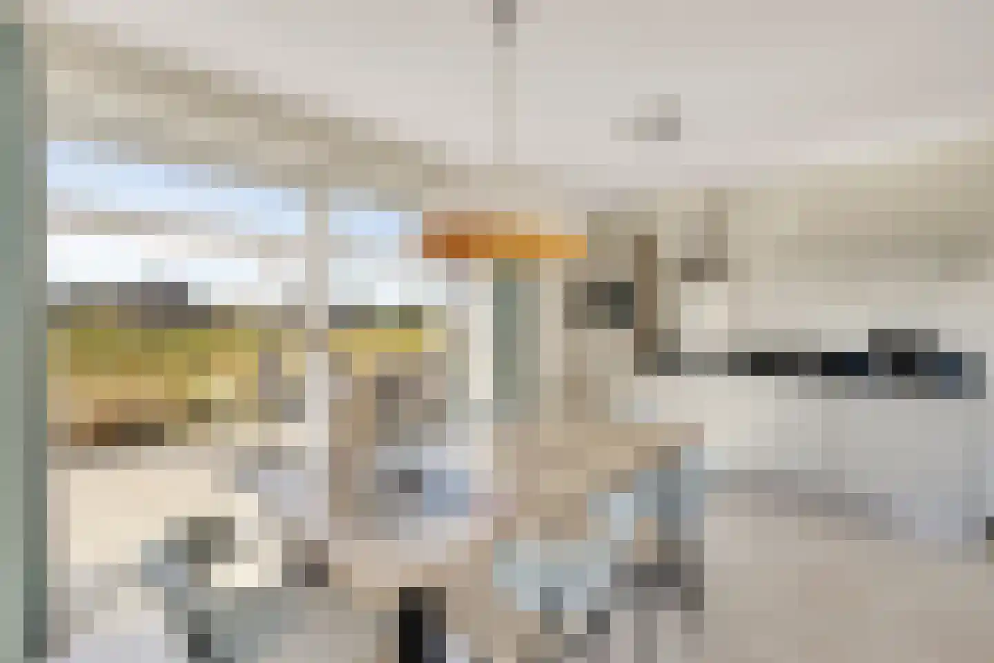 de Duinen 414 Ouddorp thumbnail 4