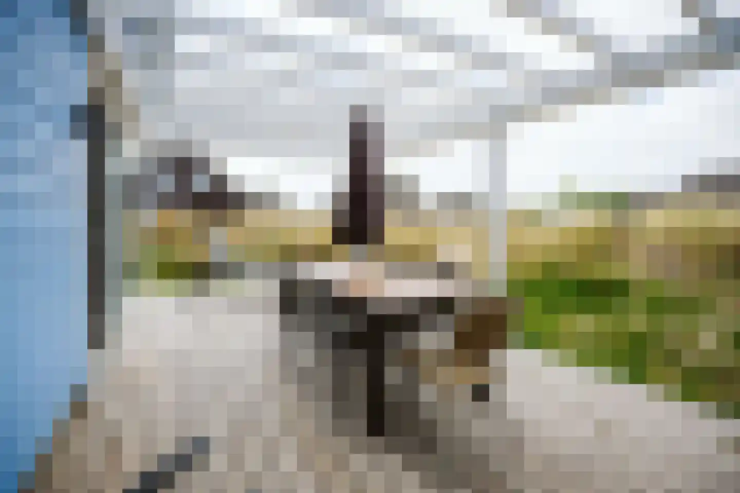 de Duinen 439 Ouddorp thumbnail 17