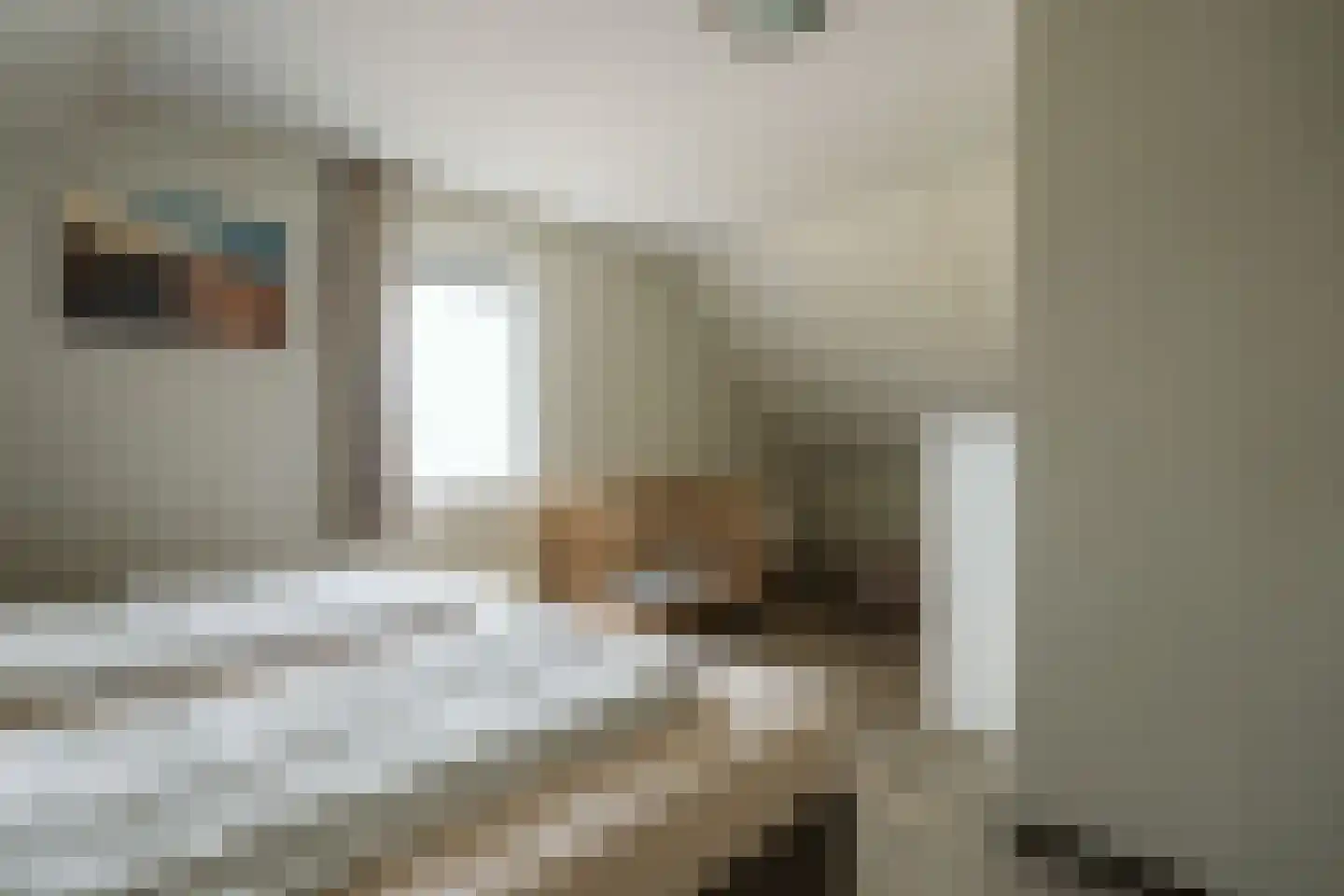 de Duinen 439 Ouddorp thumbnail 24