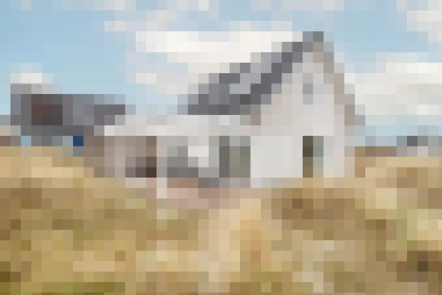 de Duinen 512 Ouddorp