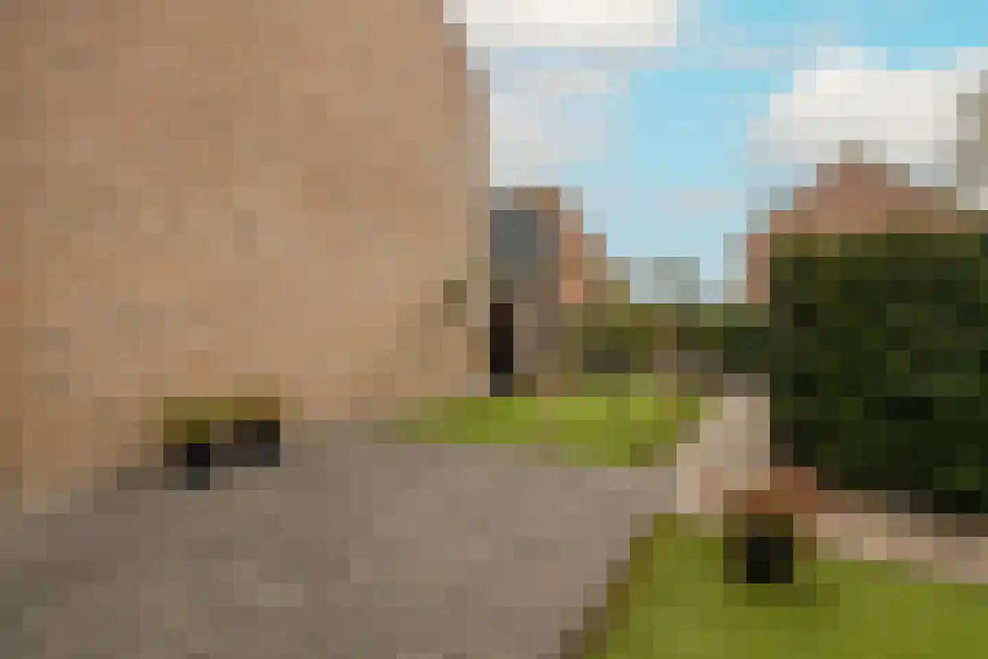 De Duinsloot 86 Noordwijkerhout thumbnail 40