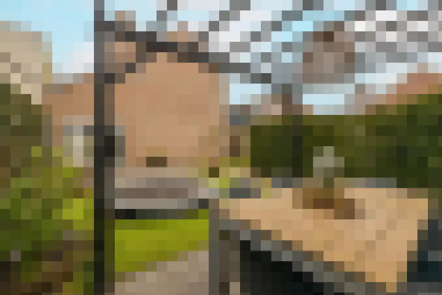De Duinsloot 86 Noordwijkerhout thumbnail 44