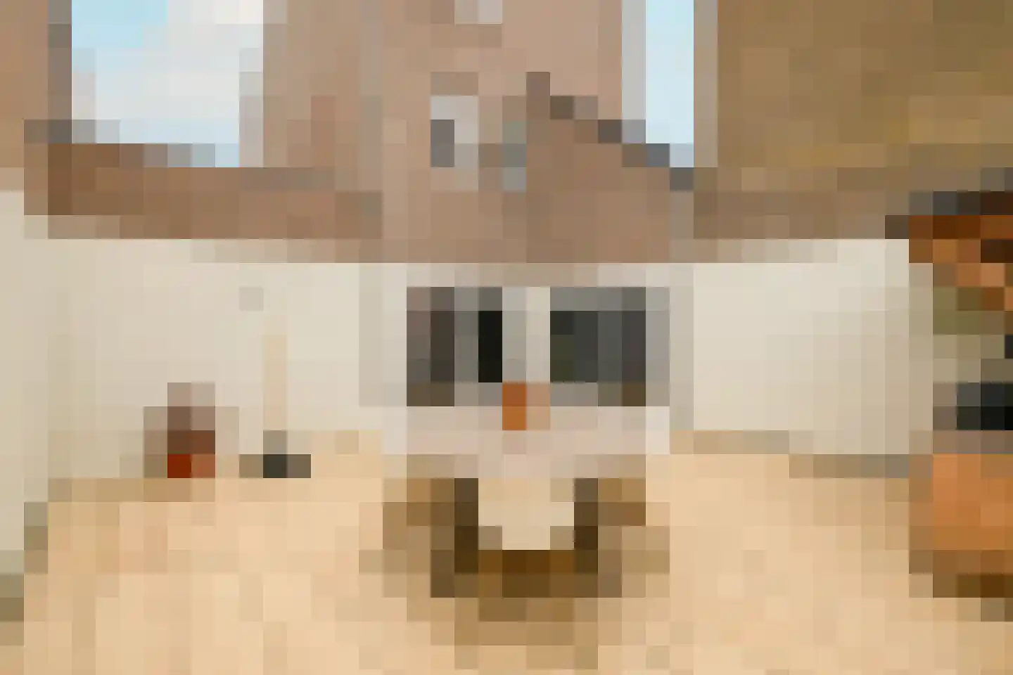 De Duinsloot 86 Noordwijkerhout thumbnail 46