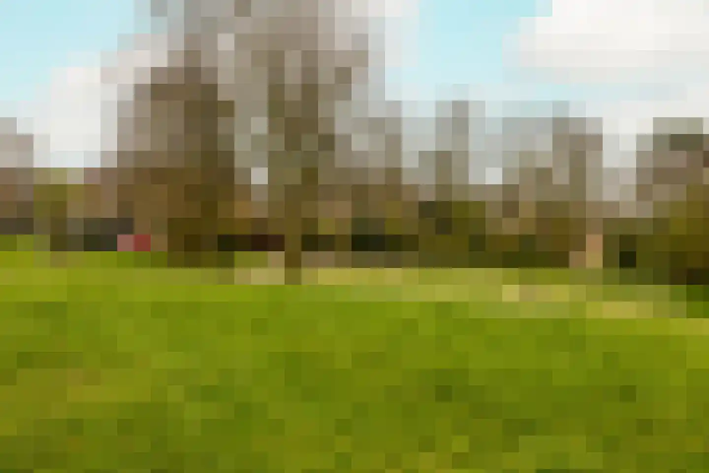 De Duinsloot 86 Noordwijkerhout thumbnail 51