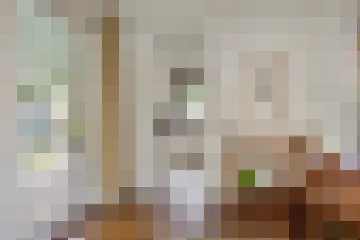 De Duivenekker 3 Berlicum thumbnail 19