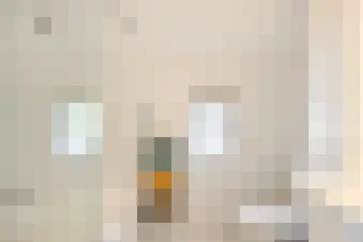 De Duivenekker 3 Berlicum thumbnail 34