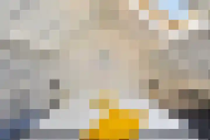 De Duivenekker 3 Berlicum thumbnail 41