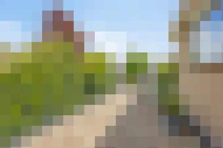 De Duivenekker 3 Berlicum thumbnail 44