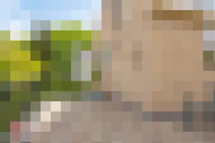 De Duivenekker 3 Berlicum thumbnail 46