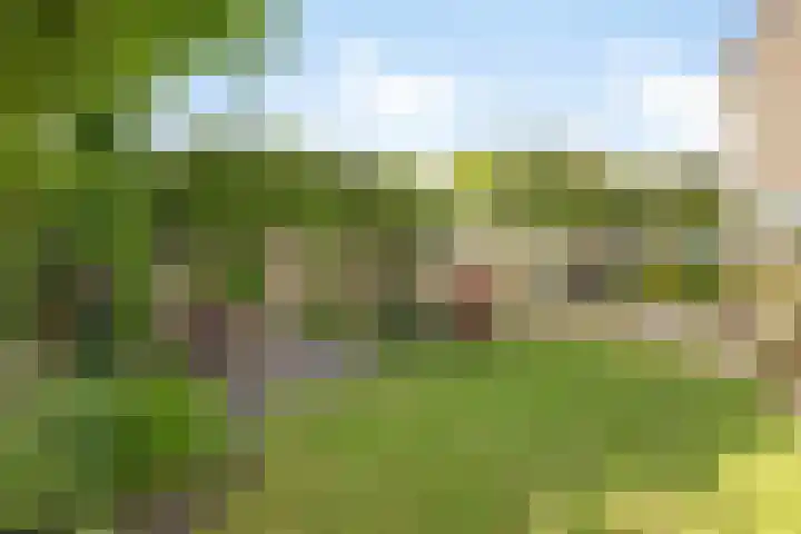 De Duivenekker 3 Berlicum thumbnail 48