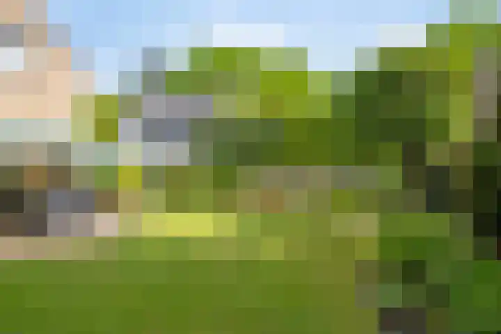 De Duivenekker 3 Berlicum thumbnail 53