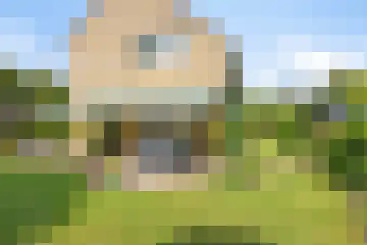 De Duivenekker 3 Berlicum thumbnail 55