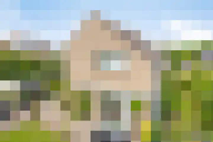De Duivenekker 3 Berlicum thumbnail 57
