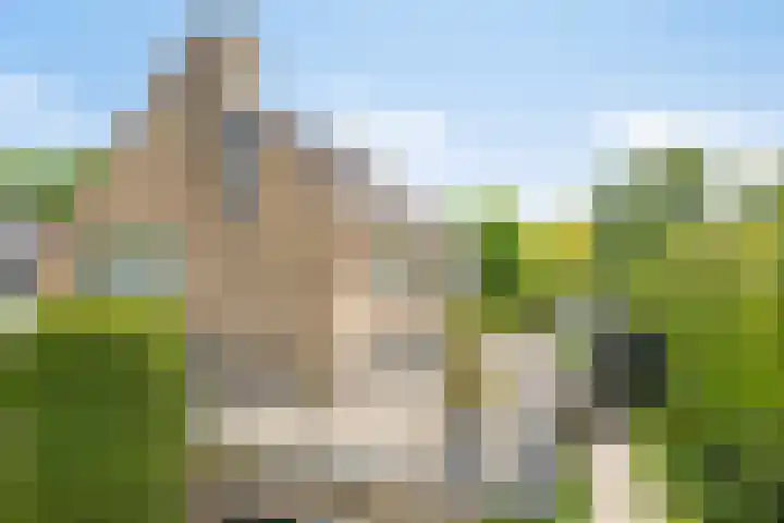 De Duivenekker 3 Berlicum thumbnail 59