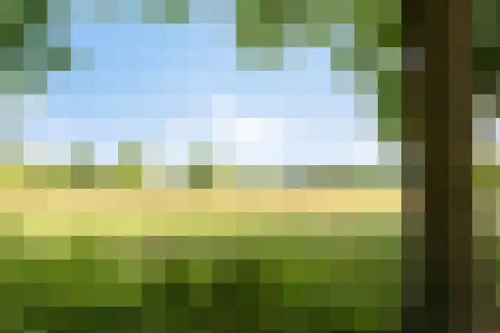 De Duivenekker 3 Berlicum thumbnail 63