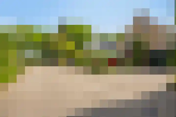 De Duivenekker 3 Berlicum thumbnail 65