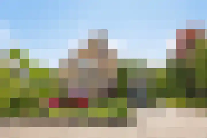 De Duivenekker 3 Berlicum thumbnail 67