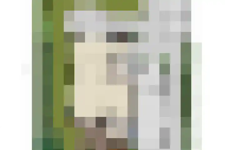De Duivenekker 3 Berlicum thumbnail 69