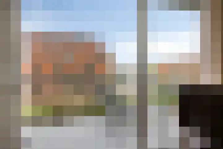 De Dukdalf 49 Dronten thumbnail 19