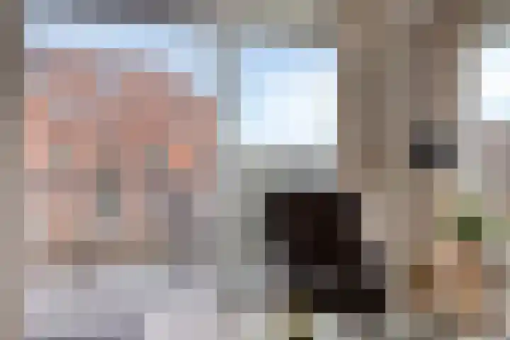 De Dukdalf 49 Dronten thumbnail 20