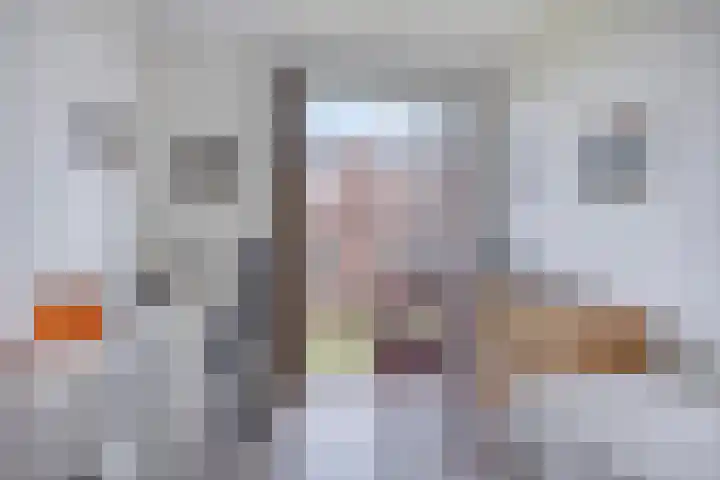 De Dukdalf 49 Dronten thumbnail 28